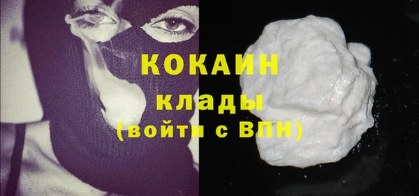гидра Каменка