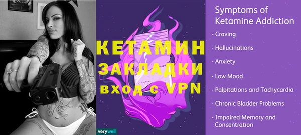 гидра Каменка
