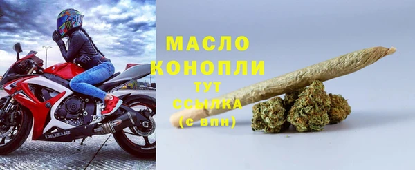 гидра Каменка