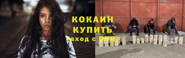 гидра Каменка