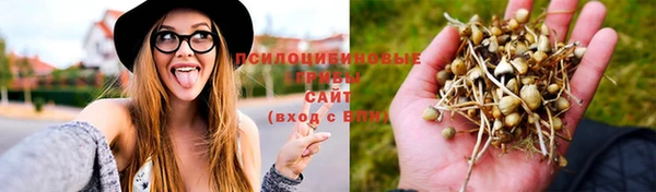 гидра Каменка
