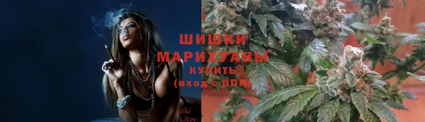гидра Каменка