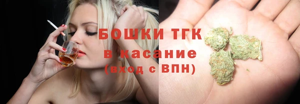 гидра Каменка