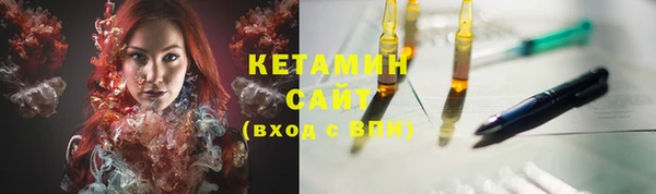 гидра Каменка