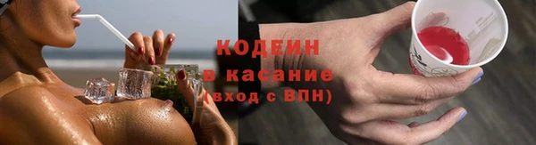 гидра Каменка