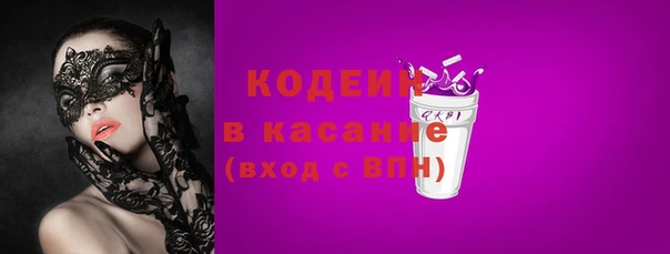 гидра Каменка