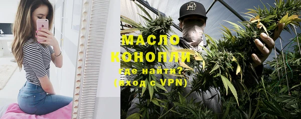 гидра Каменка