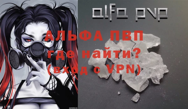 гидра Каменка