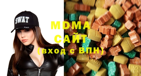 гидра Каменка