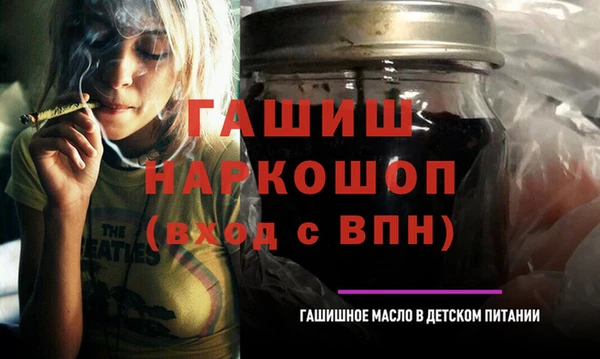 гидра Каменка