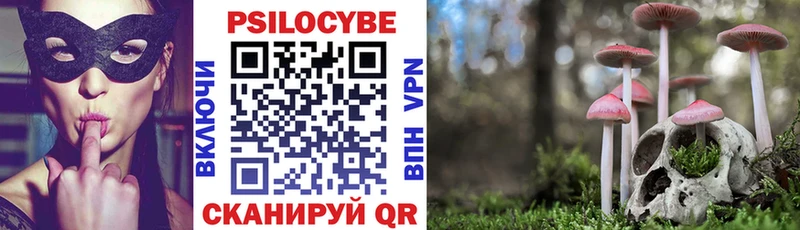 Купить где  Макарьев  Псилоцибиновые грибы Cubensis 